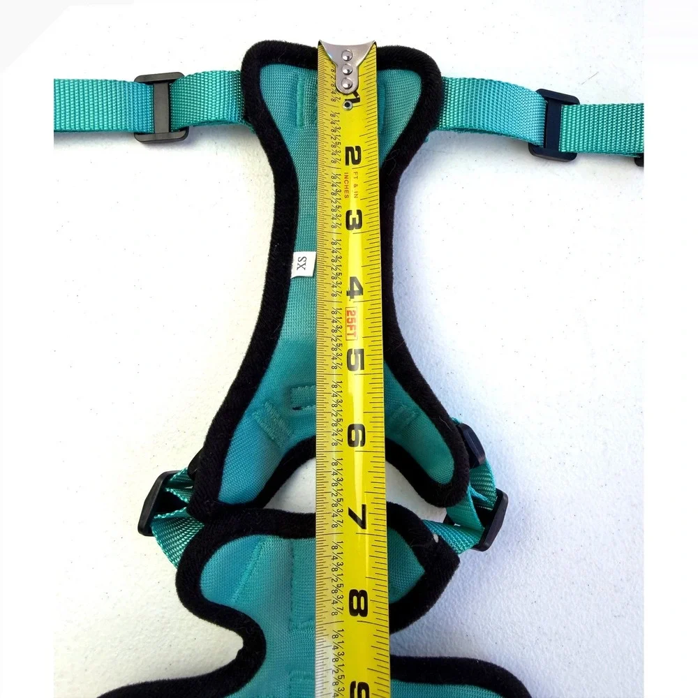 Rabbitgoo Dog Harness XS Teal No Pull Reflective Mesh Adjustabl Walking Vest Pet